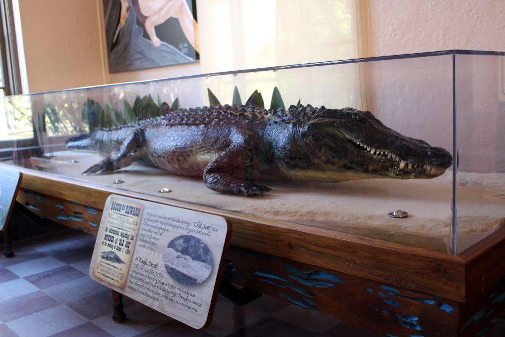The Lodge At Wakulla Springs Crawfordville Ngoại thất bức ảnh